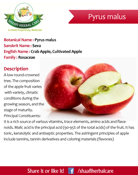 Crab Apples: Nutrition, Varieties, Benefits, And Risks