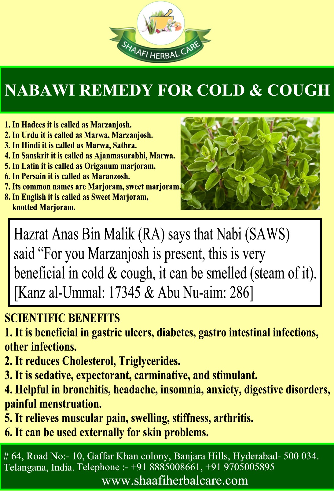 Tibb e Nabawi Remedy for Cold & Cough
