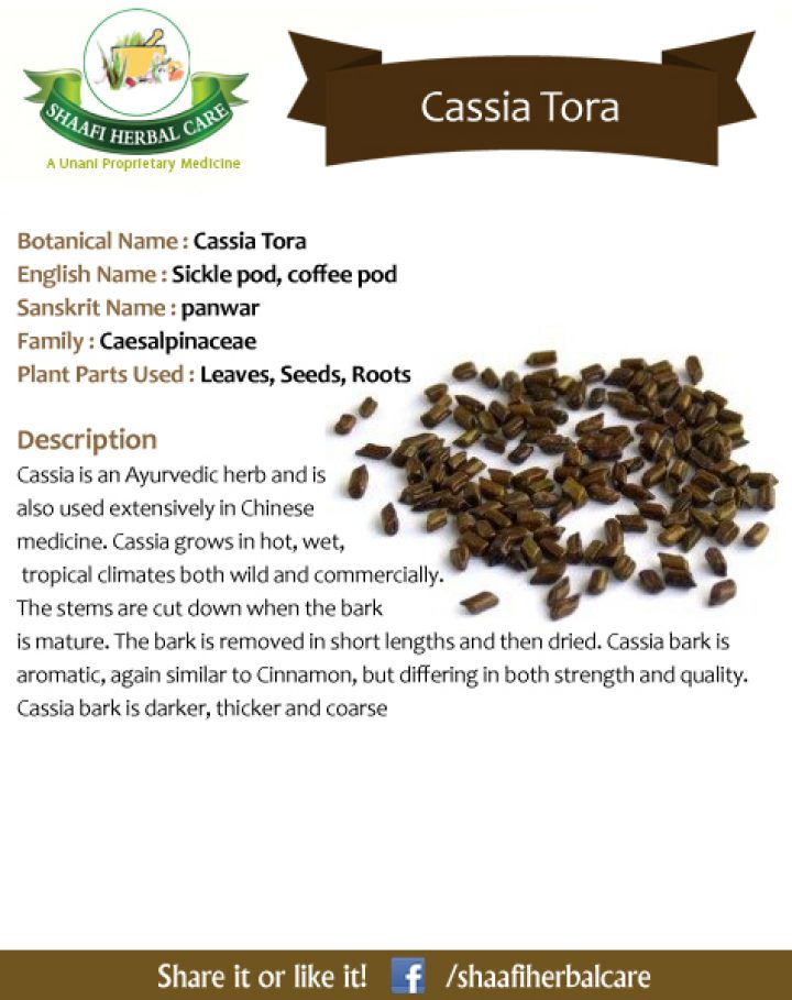 benefits-of-cassia-tora-uses-of-cassia-tora-sickle-pod-coffee-pod