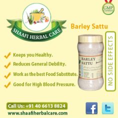 Barley Sattu